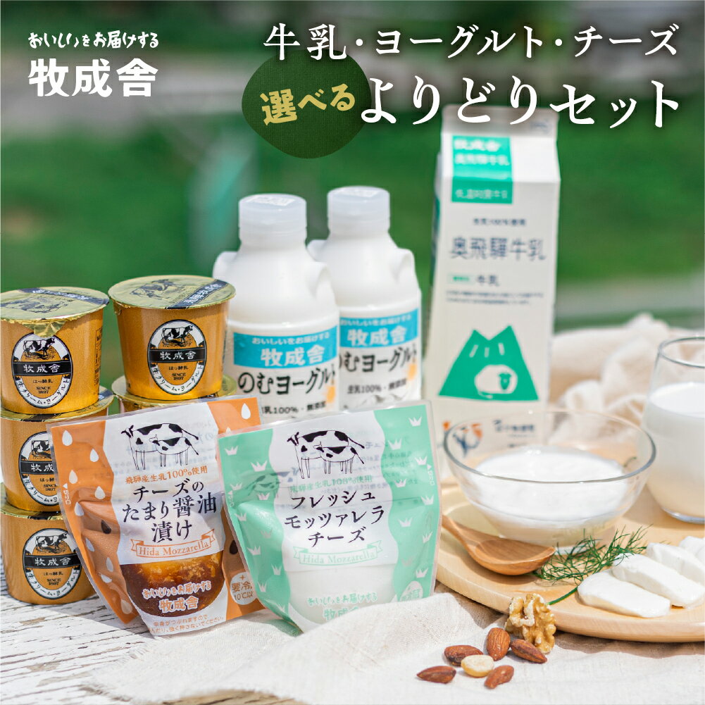 【ふるさと納税】【2週間以内に発�