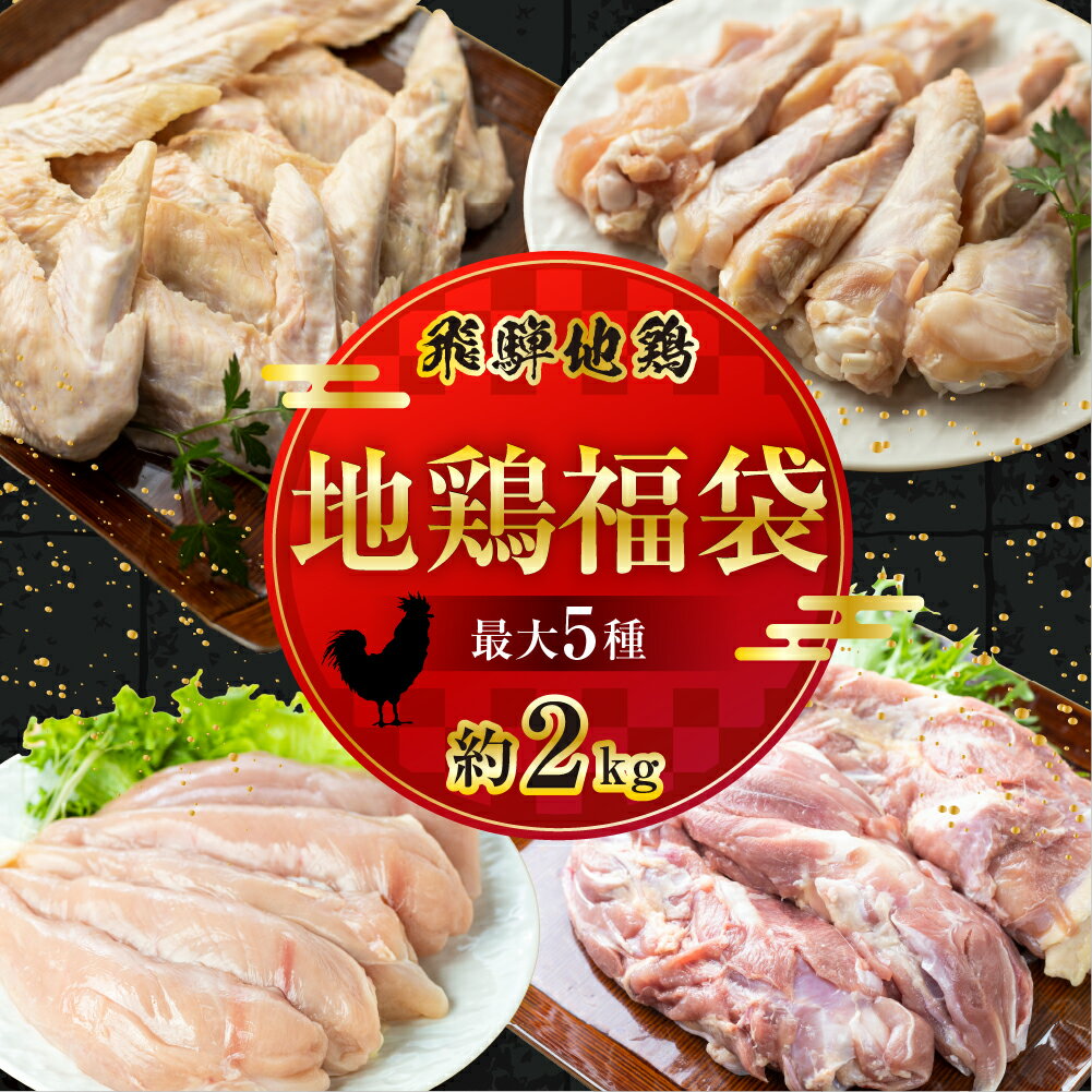 [最短翌日発送〜5営業日以内お届け]選べる福袋 飛騨地鶏三昧 鶏肉 小分け 約1kg 2kg 地鶏 モモ肉 ムネ肉 手羽先 手羽元 ささみ 串焼き 焼き鳥 鶏肉 ブランド 飛騨市 [B0256rex] 20000円