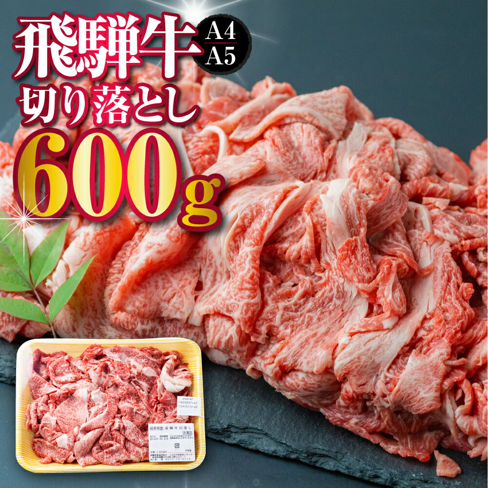 【ふるさと納税】厳選　飛騨牛　切り落とし 切落し A4・A5ランク 600g 牛肉 和牛 肉 訳あり 訳アリ わ...