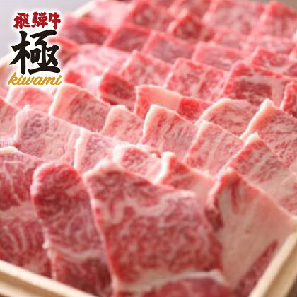 飛騨市推奨特産品飛騨牛 BBQ がっつりバーベキューカルビ 500g 牛肉 和牛 肉 お歳暮[D0020]30000円 3万円