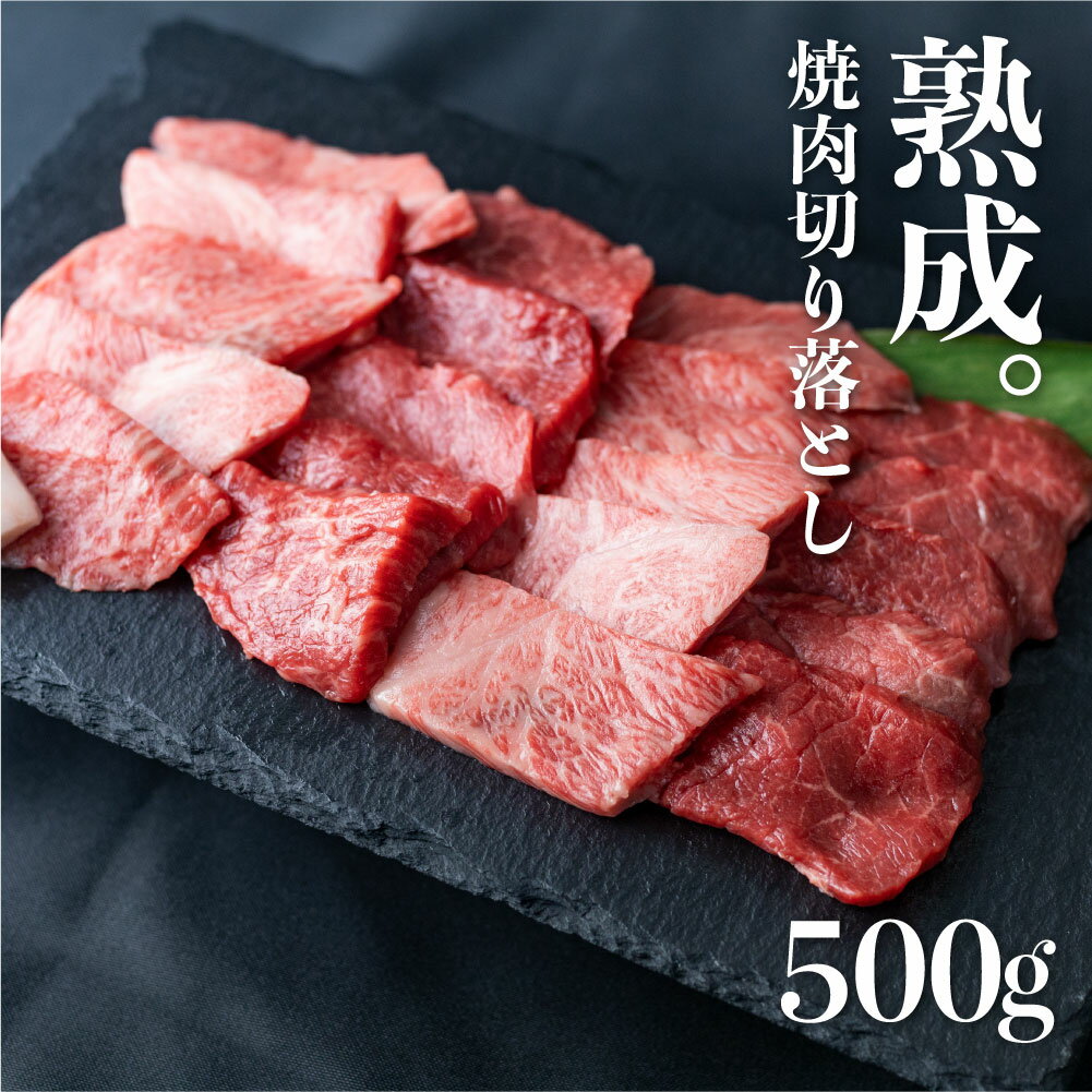 飛騨牛 【ふるさと納税】飛騨の牧場で育った熟成飛騨牛『山勇牛』焼肉 切り落とし 500g A4 A5 切落し 訳あり 訳アリ わけあり ワケアリ 不揃い ミックス 牛肉 肉 和牛 国産 希少部位入り 飛騨牛 訳あり 岐阜県飛騨市 ［D0025］