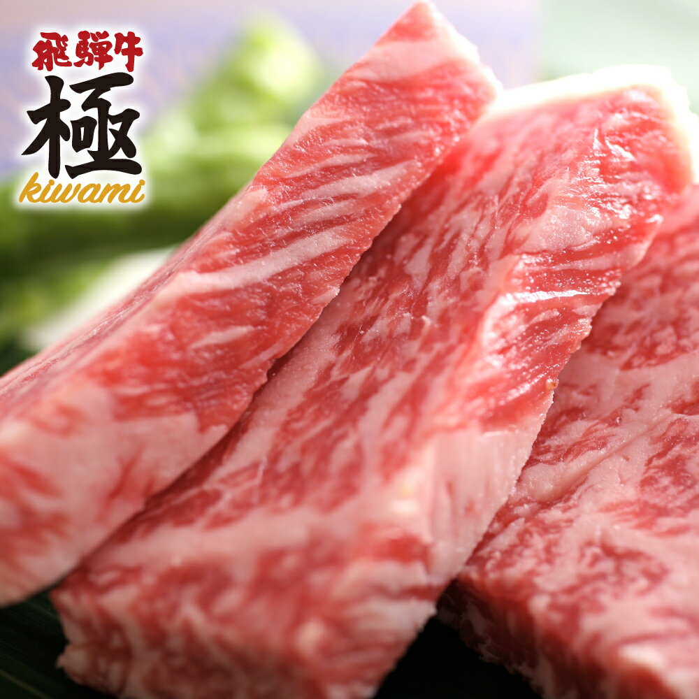 飛騨市推奨特産品飛騨牛 ミニロインステーキ4枚 牛肉 和牛 肉 お歳暮[E0012]40000円