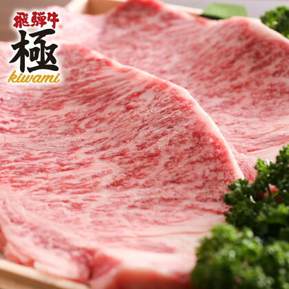 飛騨市推奨特産品 飛騨牛 サーロインステーキ 250g×2枚 計500g 牛肉 和牛 肉[F0006]50000円 5万円