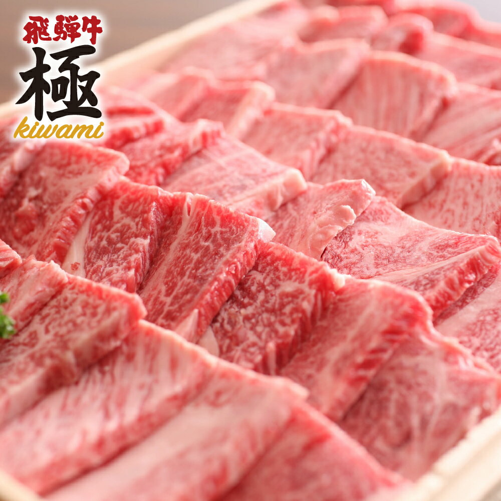 飛騨市推奨特産品飛騨牛 希少部位入り 福袋 焼肉セット 総重量1200g 1.2kg 肉福袋 1kg以上 メガ盛り 和牛 肉 熨斗掛け[F0008]50000円 5万円