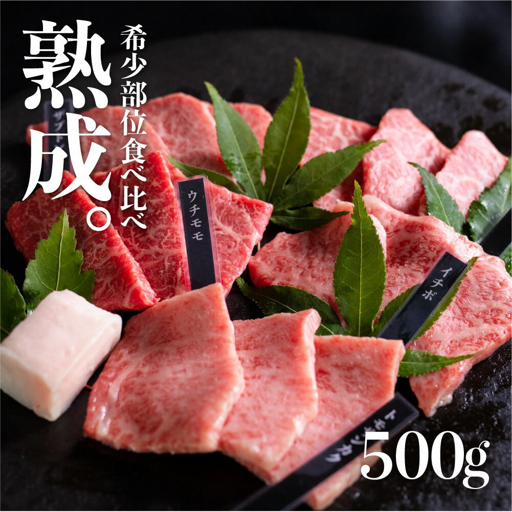 飛騨牛 飛騨の牧場で育った熟成飛騨牛『山勇牛』 焼肉用 おまかせ5種盛合せ 計 500g 30日以上熟成/A4 A5 飛騨牛 熟成肉 和牛 牛肉 肉 国産 熨斗掛け[F0018]50000円 5万円