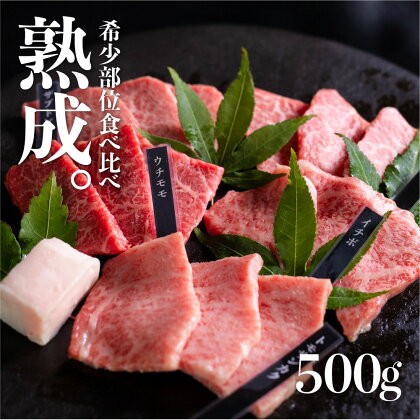 飛騨牛 飛騨の牧場で育った熟成飛騨牛『山勇牛』 焼肉用 おまかせ5種盛合せ 計 500g 30日以上熟成/A4 A5 飛騨牛 熟成肉 和牛 牛肉 肉 国産 熨斗掛け［F0018］50000円 5万円