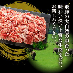 【ふるさと納税】牛肉 和牛 うまい赤身にこだわった 牛飼いの和牛肉 切り落とし 350g スライス 飛米牛 牛 肉 訳あり 訳アリ わけあり ワケアリ 不揃い 部位お任せ [Q360] 5000円 5千円･･･ 画像2