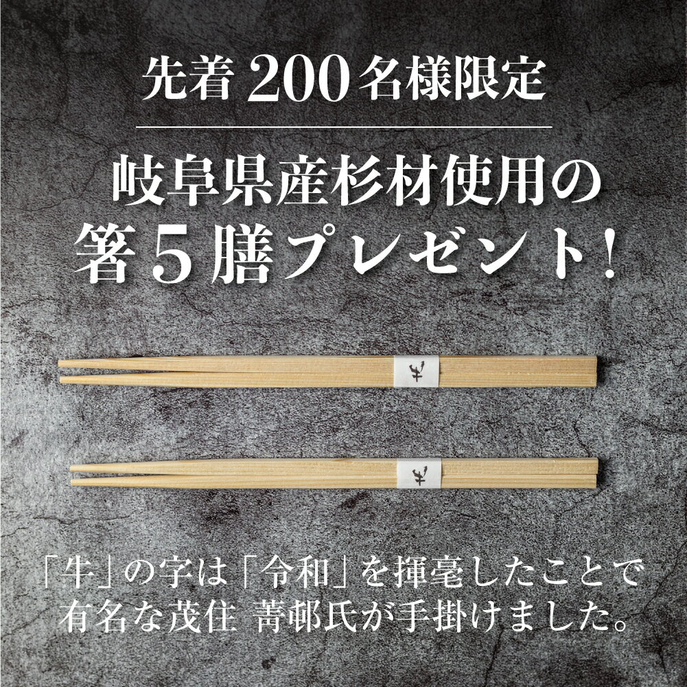 【ふるさと納税】《夏季限定》飛騨牛BBQセット　サーロイン焼肉用200g もも焼肉用300g 上カルビ焼肉用 300g セット 先着200名様限定箸付き バーベキュー アウトドア　キャンプ 焼肉 和牛 肉 御歳暮 お歳暮［F0022］50000円 5万円