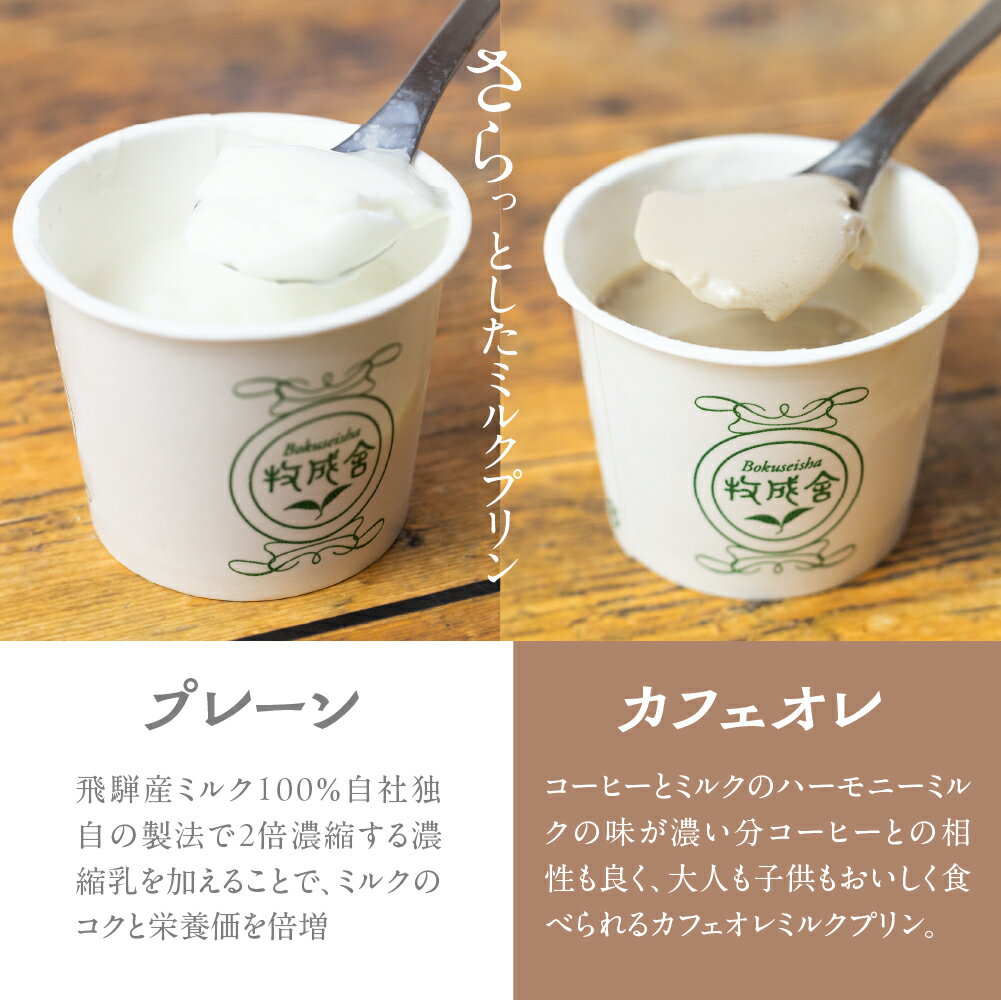 【ふるさと納税】【2週間以内に発送】牛乳屋さんのつくるミルクの自然なおいしさを詰め込んだ濃厚ミルクプリン2種 20個 6個 お試し プレーン カフェオレ お菓子 スイーツ 洋菓子 寒天 冷凍発送 卵不使用 生クリーム不使用 チーズ・乳製品セット 食べ比べ 牧成舎 [Q2664]