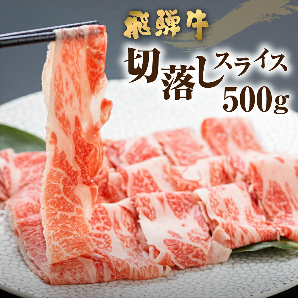 【ふるさと納税】《訳あり》飛騨牛 切り落とし スライス 500g (250g × 2 小分け ) 焼肉 牛肉 肉 不揃い わけあり ワケアリ 部位おまかせ 焼き肉 黒毛和牛 和牛 国産 すき焼き 肉じゃが 炒め物 煮物 ギフト 贈り物 個包装 ［Q1020］10000円 1万円