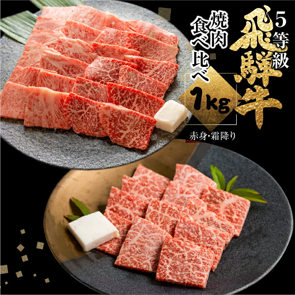 飛騨牛ロース・うでもも食べ比べセット 計1kg(250g×4) 焼肉用 BBQ 国産牛 国産 牛肉 肉 厳選 熟成 贈答用 肉の沖村 [Q1090]