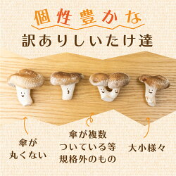 【ふるさと納税】訳あり 菌床しいたけ 約140g×4パック 訳アリ ワケアリ わけあり 椎茸 きのこ［Q1872］3000円 3千円 画像1