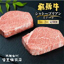 【ふるさと納税】 定期便 飛騨牛 シャトーブリアン ステーキ