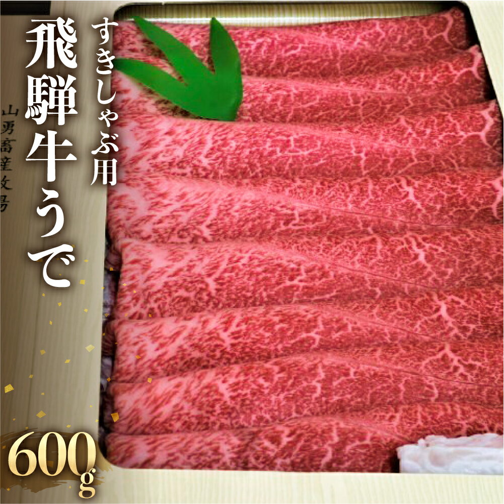 飛騨牛 【ふるさと納税】飛騨牛 うで スライス すき焼き しゃぶしゃぶ用　600g すきやき 牛肉 和牛 黒毛和牛 肉 国産 ギフト 贈り物 すきやき スキヤキ 赤身［Q112］