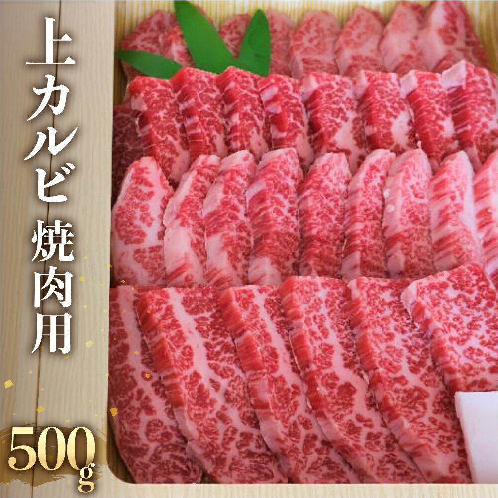 【ふるさと納税】飛騨牛 上カルビ 焼肉用 500g 冷蔵 牛