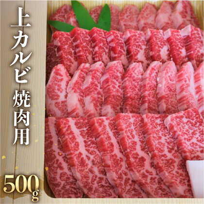 飛騨牛 上カルビ 焼肉用 500g 冷蔵 牛肉 和牛 肉 国産 熨斗掛け バーベキュー 焼き肉 カルビ A4 A5 山勇牛一貫 高級 熟成 化粧箱 ギフト 熨斗 人気 時間指定［Q113n］ お中元 ギフト 御中元