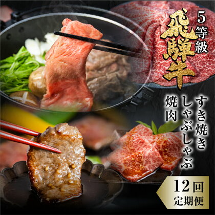 定期便 全12回 飛騨牛 5等級 しゃぶしゃぶ すき焼き 焼肉 お楽しみ定期便 12ヵ月 ロース もも うで 食べ比べ 国産牛 国産 牛肉 肉 厳選 熟成 肉の沖村 [Q1206]