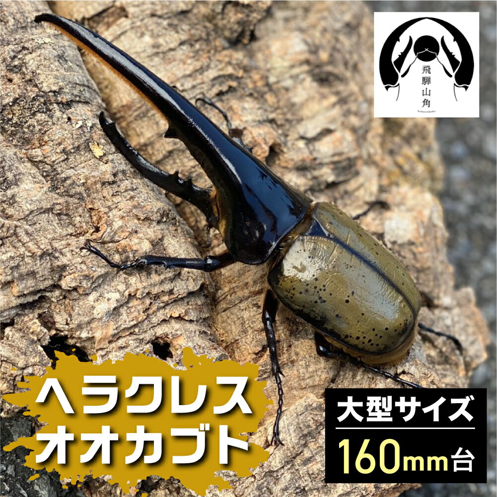 生き物の返礼品 | ふるさと納税バイブル 生き物の返礼品 | ふるさと納税バイブル
