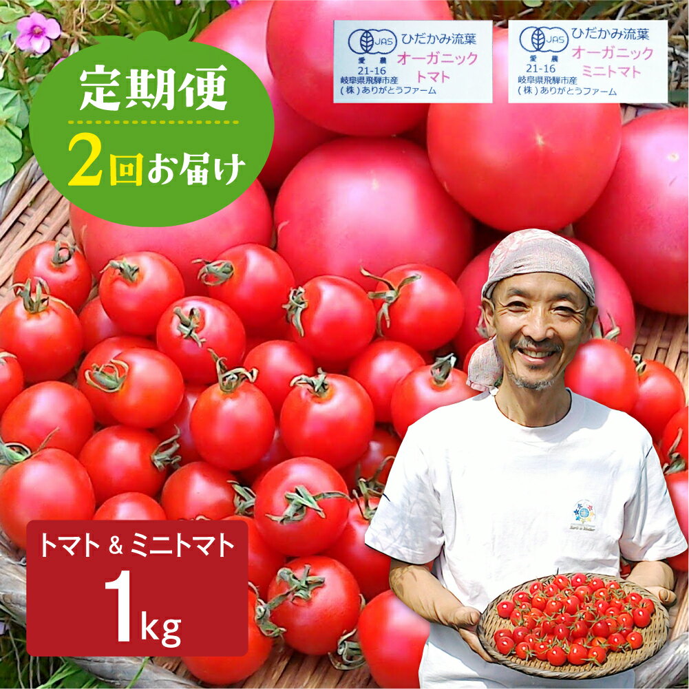 [数量限定]トマト・ミニトマト 1kg 2回定期便 野菜 有機栽培 とまと 産地直送 夏野菜 [Q1300] [hida0307]