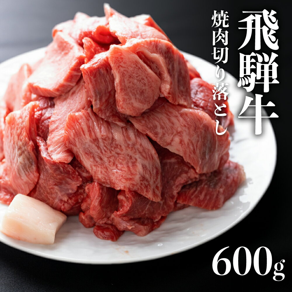 【ふるさと納税】【訳あり】飛騨牛 焼肉用切り落とし 600g 焼肉 やきにく 焼き肉 牛肉 和牛 国産 肉 熨斗掛け ギフト スライス 不揃い 切落し きりおとし わけあり ワケアリ［Q2281］