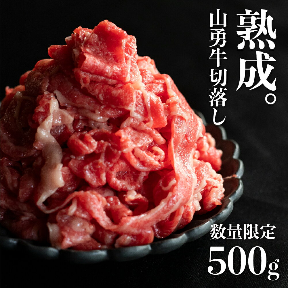 【ふるさと納税】《数量限定》飛騨の牧場で育った熟成飛騨牛『山勇牛』 切落し 500g 訳あり わけあり 訳アリ ワケアリ 不揃い 肉 牛肉 切り落とし 規格外 ［Q1328］10000円 1万円