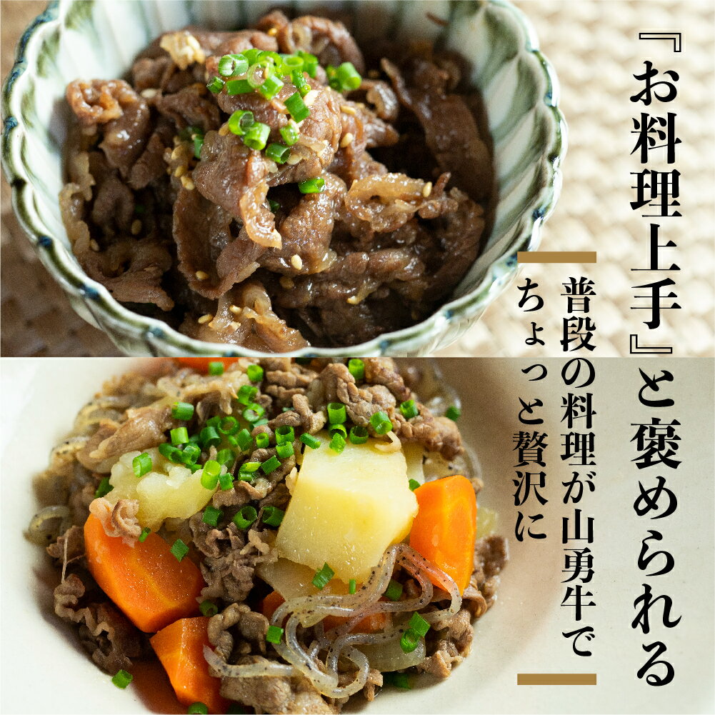 【ふるさと納税】《数量限定》飛騨の牧場で育った熟成飛騨牛『山勇牛』 切落し 500g 訳あり わけあり 訳アリ ワケアリ 不揃い 肉 牛肉 切り落とし 規格外 ［Q1328］10000円 1万円