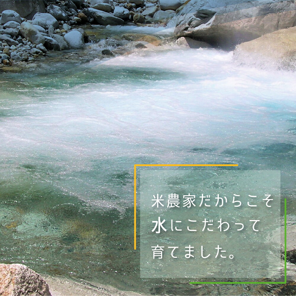 【ふるさと納税】《先行予約》6月下旬から発送 米農家がつくる！水にこだわった朝採れアスパラガス M~L L~2L 500g 野菜 やさい 産地直送 季節 新鮮 アスパラ 不揃い 訳あり 池本農園［Q1411］10000円《hida0307》