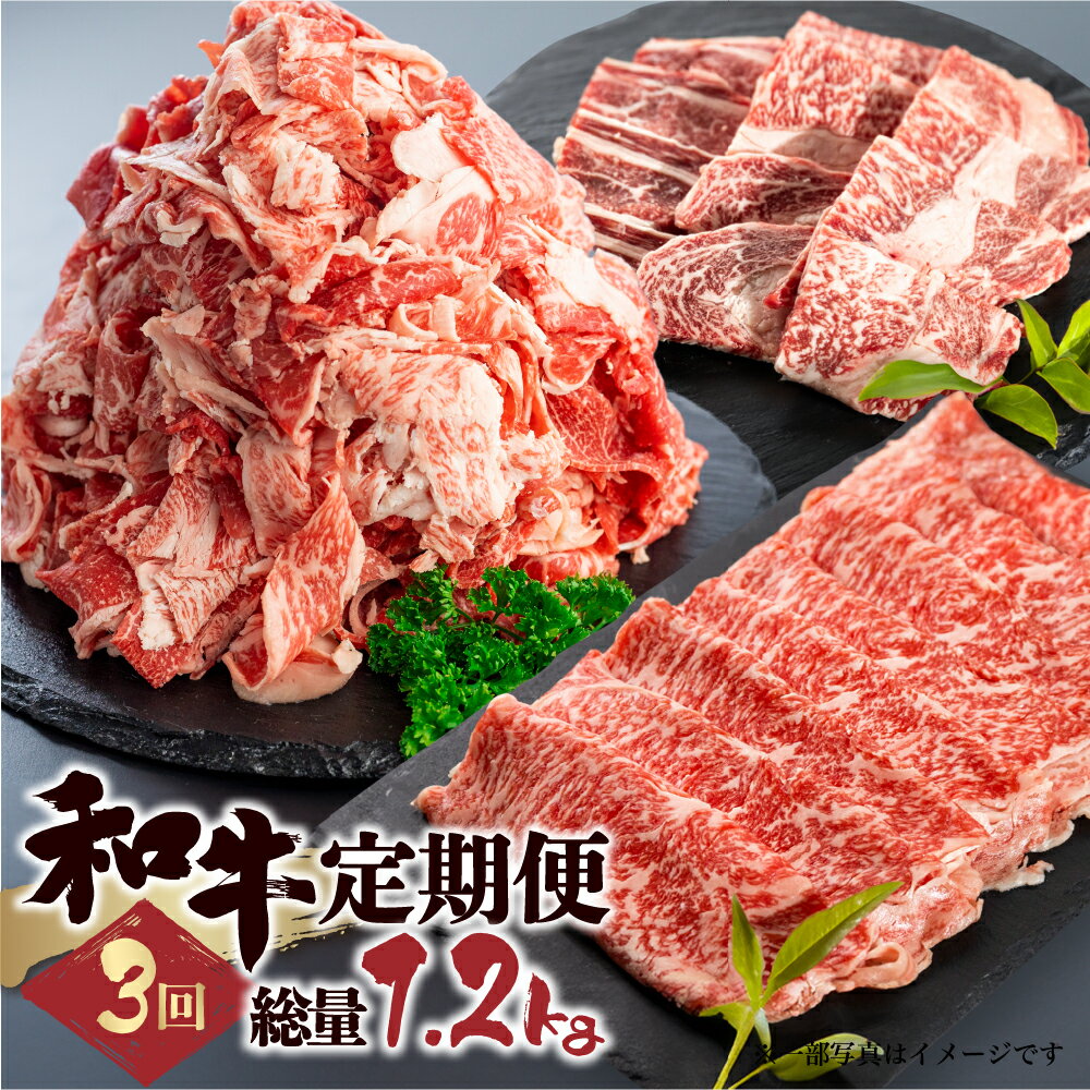 和牛 定期便 3回 総重量 1.2kg お楽しみ スライス すきやき しゃぶしゃぶ 焼肉 切り落とし 牛肉 切落し 切り落とし 不揃い ふぞろい 訳あり ワケアリ 訳アリ ホルモン もつ BBQ 焼肉 個包装 国産和牛 飛騨市 30000円 3万円