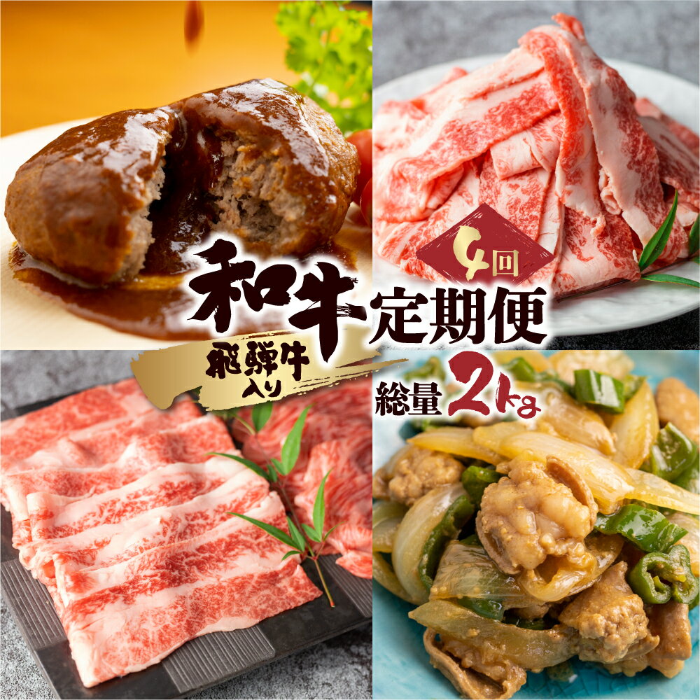 【ふるさと納税】「和牛定期便」定期便 4回 お楽しみ 牛肉 切落し 切り落とし ホルモン もつ 焼肉 ハンバーグ レトルト しゃぶしゃぶ 個包装 国産和牛 総重量2.0kg 30000円 3万円