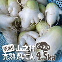 商品説明 名称訳あり 飛騨 山之村 清水さんちの「寒熟だいこん」大根 4.5kg 商品詳細 標高900mの天空の村、山之村で育った秋の大根を1ヶ月以上土室に寝かした大根です。厳しい寒さの中で寝かされた大根は糖度やビタミンが増し、甘みたっぷりに。本品は保存時にできる擦り傷があるものや規格外の形状ですが、みずみずしく、梨のような甘さを感じられます。 産地名岐阜県飛騨市 内容量 訳あり完熟大根約4.5kg 消費期限約2週間 備考 ー発送方法 冷蔵配送取扱事業者及び加工業者 清水農園 ------------------------------------------------- ・ふるさと納税よくある質問はこちら ・寄附申込みのキャンセル、返礼品の変更・返品はできません。あらかじめご了承ください。「ふるさと納税」寄付金は、下記の事業を推進する資金として活用してまいります。 寄付を希望される皆さまの想いでお選びください。 入金確認後、注文内容確認画面の【注文者情報】に記載の住所にお送りいたします。 ワンストップ特例申請書は、入金確認後（寄附証明書と同封）年末年始を除く30日以内に住民票住所へお送りいたします。 ご記入後下記宛先へ返送ください。