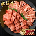 【ふるさと納税】飛騨牛 霜降り(ロース・カタロース)/赤身(モモ・カタ)　焼肉 500g バーベキュー BBQ やきにく A5 A4 5等級 4等級 肉 牛肉 和牛 国産 食べ比べ 冷凍 ギフト 贈答 [Q1978] 15000円