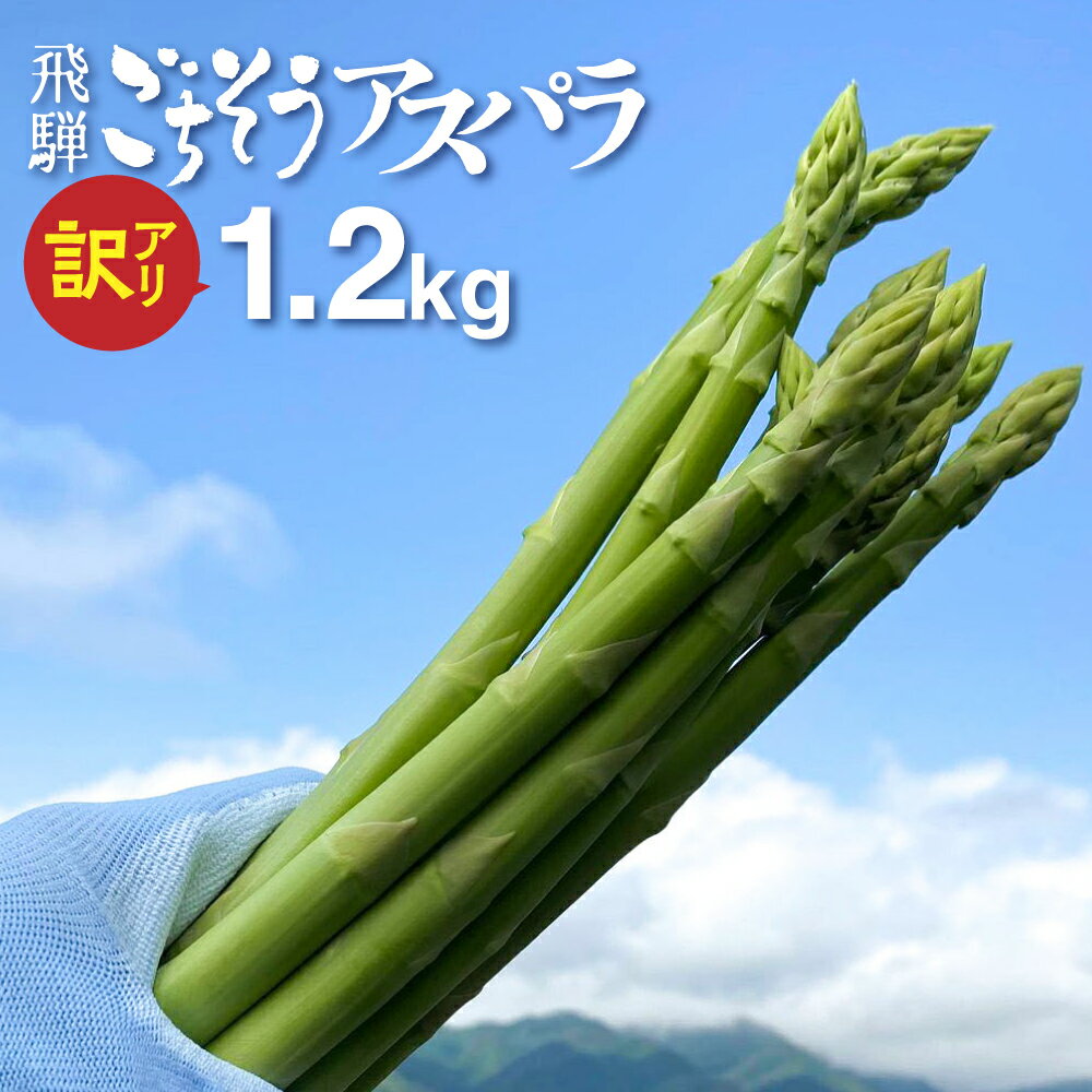 ڤդ뤵Ǽǡ ¼ ͤΤ줤ʿȷ㤷Ⱥ餫Ťѥ 1.2kg ꡼ ѥ饬 2023ǯ ...