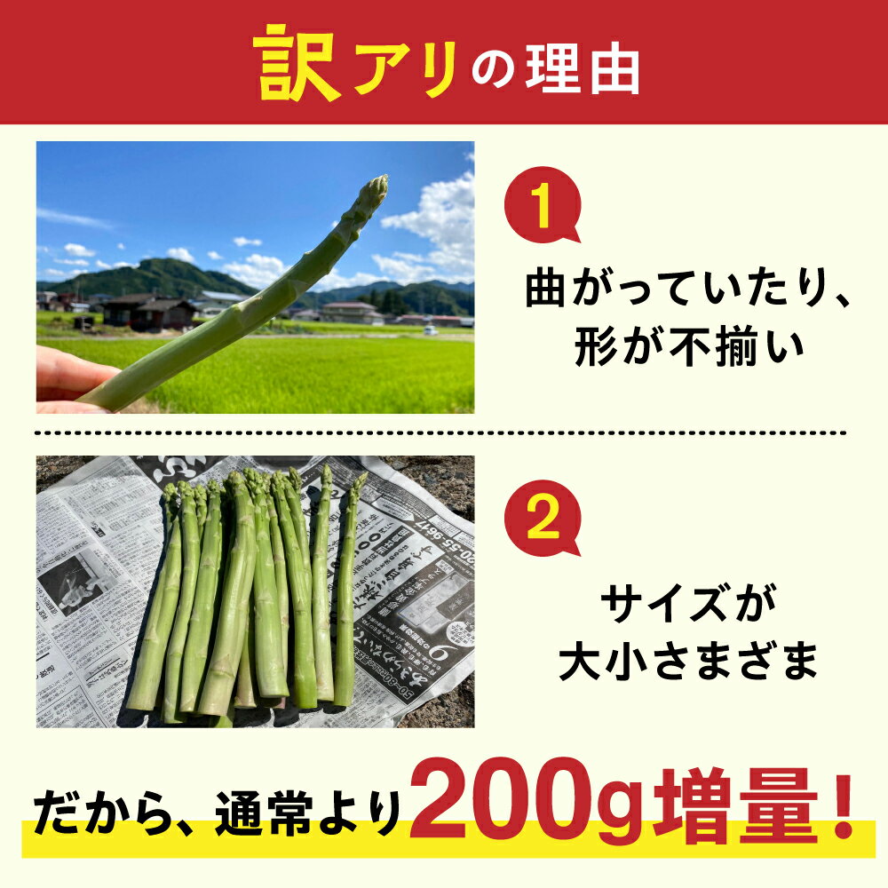 【ふるさと納税】訳あり 水村農園 飛騨のきれいな水と激しい寒暖差が育んだ柔らか甘いアスパラ 1.2kg グリーン アスパラガス 2023年 配送 サラダ 天ぷら 新鮮 時間指定 わけあり 訳アリ [B0200w_w] 10000円 1万円 《hida0307》