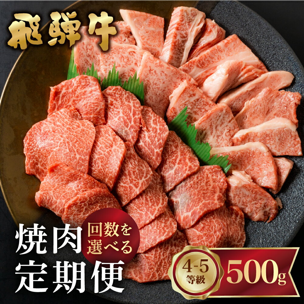 [選べるお届け回数][定期便]飛騨牛 焼肉 定期便 | 飛騨牛 霜降り(ロース・カタロース)/赤身(モモ・カタ) 2回 3回 4回 6回 12回 隔月 年間 1年間 焼肉 500g バーベキュー BBQ やきにく A5 A4 5等級 4等級 肉 牛肉 和牛 国産 食べ比べ [Q2362]