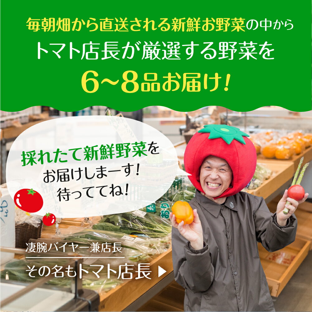 【ふるさと納税】【先行予約】2024年7月からお届け！飛騨産直市そやな直送 トマト店長厳選 飛騨産 旬の野菜セット 6-8品 お楽しみ 詰め合わせ 野菜セット 単品 5000円 定期便 2回 10000円 3回 15000円 [ Q1996 Q2174 Q2175 ]