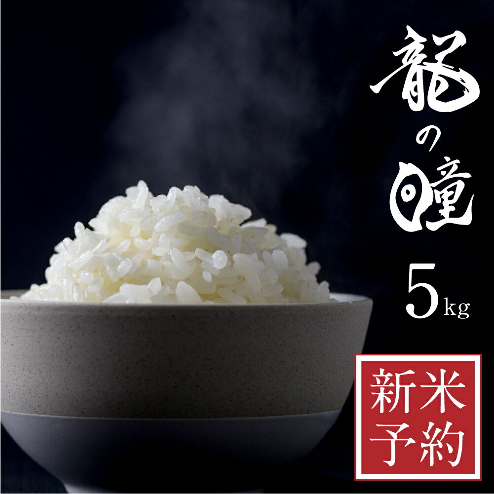 【ふるさと納税】【先行予約】令和5年産 龍の瞳 5kg 飛騨市産 米 精米 飯 ごはん 高級 ギフト 贈り物 白米 新米 [Q2001] 23000円