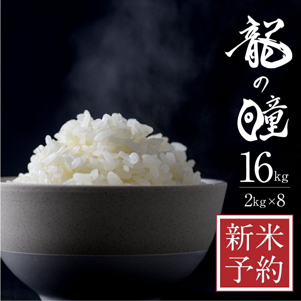 【先行予約】令和5年産 龍の瞳 2kg×8 計16kg 飛騨市産 米 精米 飯 ごはん 高級 ギフト 贈り物 白米 新米 [Q2006]