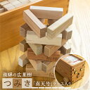 【ふるさと納税】飛騨の広葉樹 つみき 積み木 バランスゲーム 木製 おもちゃ 木のおもちゃ 知育 おもちゃ木製ケース入り 南天号 車輪付き [Q2060] 50000円