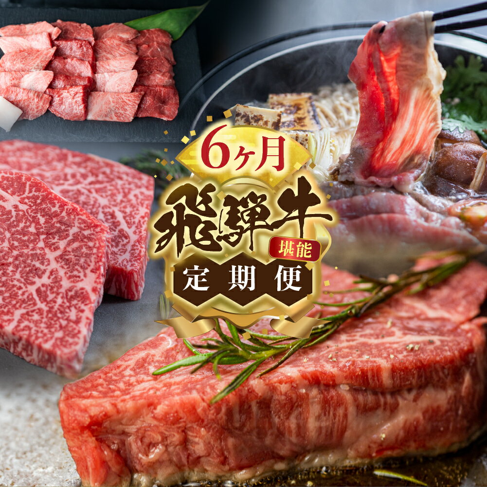 飛騨牛 6ヶ月定期便 6回お届け 赤身 ステーキ すき焼き しゃぶしゃぶ 焼肉 小間切れ 訳あり 切り落とし 霜降り 赤身 国産牛 和牛 肉 黒毛和牛 山勇牛一貫［Q2213］