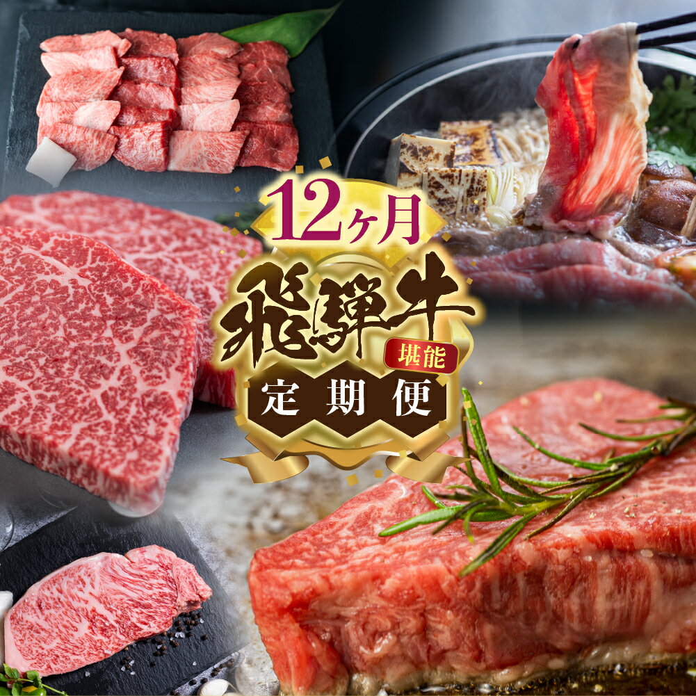 飛騨牛 12ヶ月定期便 12回お届け 1年 赤身 ステーキ すき焼き しゃぶしゃぶ 焼肉 小間切れ 訳あり 切り落とし 霜降り 赤身 国産牛 和牛 肉 黒毛和牛 山勇牛一貫[Q2214]400000円 40万円