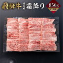 【ふるさと納税】飛騨牛 霜降り 焼肉 850g A4 A5 冷凍 牛肉 和牛 肉 国産 熨斗掛け バーベキュー 焼き肉 高級 ギフト 熨斗 のし 人気 寄合所 耕 ［Q2236］ 30000円 3万円