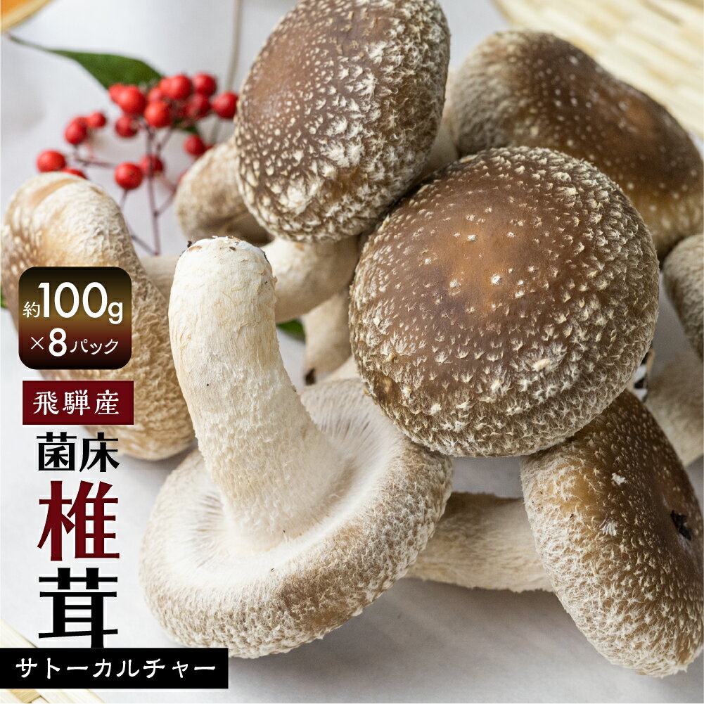 【ふるさと納税】菌床しいたけ 約100g×8パック 枚数おまかせ 国産 椎茸 シイタケ 生しいたけ きのこ ...