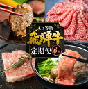 【ふるさと納税】飛騨牛づくし定期便 6回 4人前定期便 飛騨牛 5等級 しゃぶしゃぶ すき焼き ステーキ 焼肉 お楽しみ定期便 6ヵ月 もも うで 食べ比べ 国...