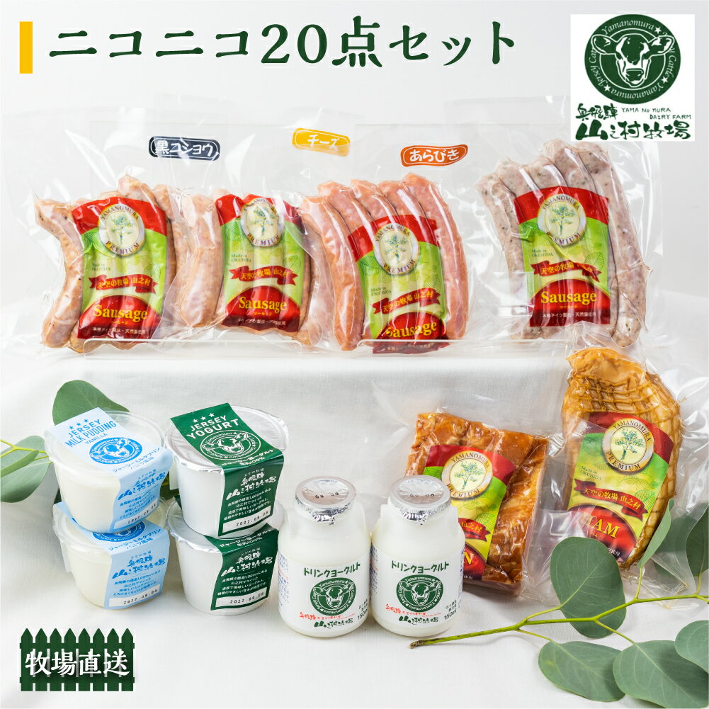 【ふるさと納税】ニコニコ20点セット 乳製品 肉製品 詰め合