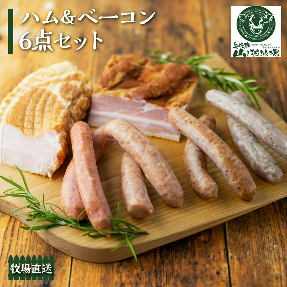 【ふるさと納税】燻製ソーセージ・ベーコン6点セット 肉 スモーク 詰め合わせ ソーセージ ハム ブロック ベーコン おつまみ 山之村牧場 　ソーセージ ギフト 贈答 熨斗対応 のし対応 選べる ソーセージ 冷凍[Q504] 飛騨市