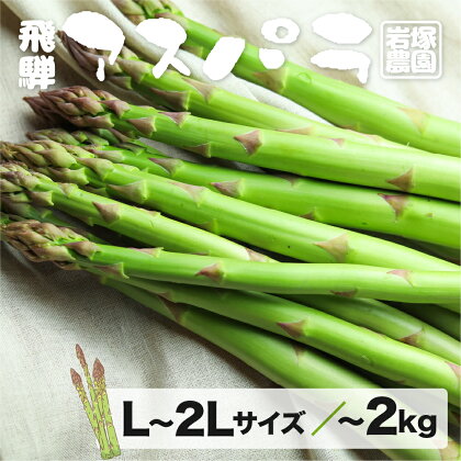 先行予約【2024年5月上旬～8月末発送】飛騨産アスパラガス L～2Lサイズ 800g 2kg 岩塚農園 春 夏 野菜 BBQ 10000円 1万円[Q566_24wx]24000円[Q568x]《hida0307》