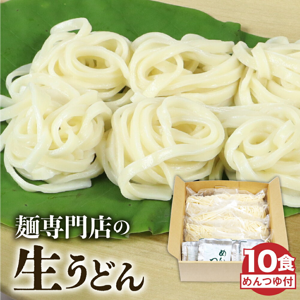 生うどん 10食セット つゆ付 うどん 生麺 合成保存料不使用 常温保存 老田屋[Q740wx]《hida0307》