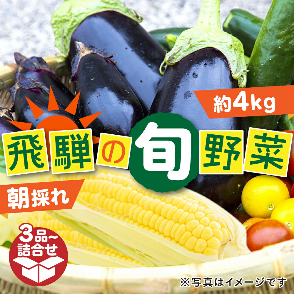 [2024年7月下旬〜9月下旬発送]夏秋 野菜たっぷり詰め合わせ セット 3品以上 約4kg 朝採れ 産地直送 [Q1051rew]10000円