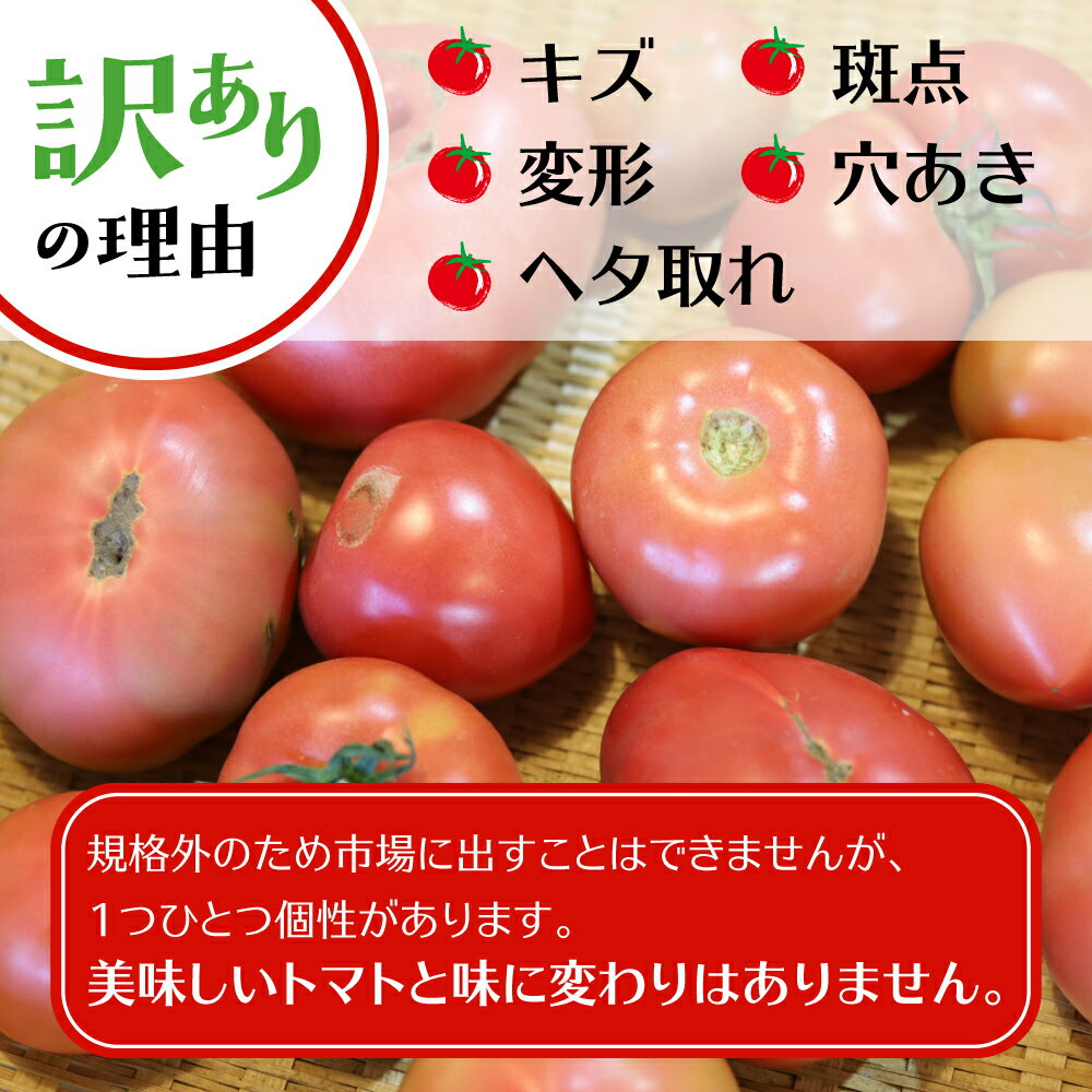 【ふるさと納税】【訳あり】飛騨トマト　約4kg 5月下旬～11月にかけて順次発送 とまと トマト 麗月 訳あり 不揃い 傷 キズ 玉数・大きさおまかせ 15～28玉 サトーカルチャー [Q1387_24] 10000円 1万円 《hida0307》