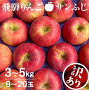 【ふるさと納税】《2025年先行予約》りんご【2025年11月下旬〜1月上旬発送】りんご サンふじ 3kg 約5kg 15〜20玉 飛騨りんご 林檎 黒内果樹園...
